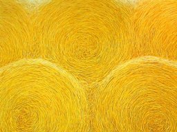 Sunny rhythm I 110x130 cm